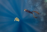 Free diver dives with a green sea turtle in the deep blue ocean