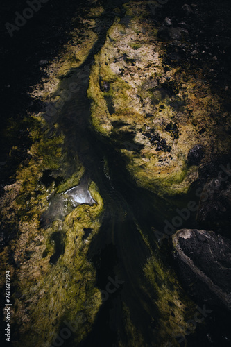 A river of algae 