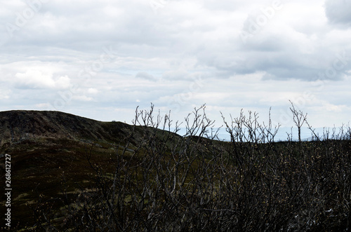 Fototapeta Naklejka Na Ścianę i Meble -  bieszczady połoniny 