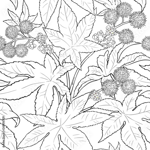 castor vector pattern