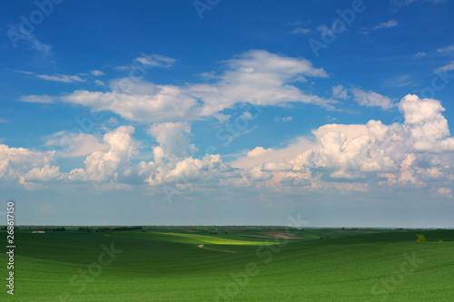 Spring green field and cblue sky with clouds. Ukraine, Volhynia