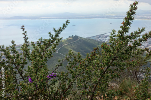 Table mountain cape town, south africa