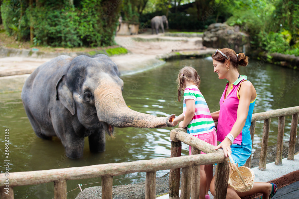 Fototapeta premium Kids feed elephant in zoo. Family at animal park.