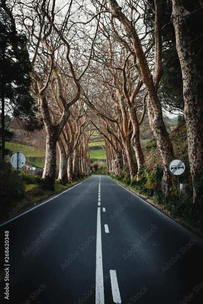 Fototapeta premium azores sao miguel