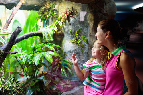 Foto Family watching snake in zoo terrarium.