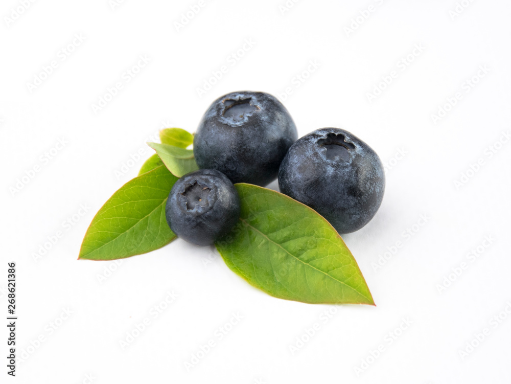 Owoce borówki z liśćmi blueberry