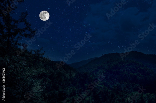 Mountain Road through the forest on a full moon night. Scenic night landscape of country road at night with large moon. Long shutter photo