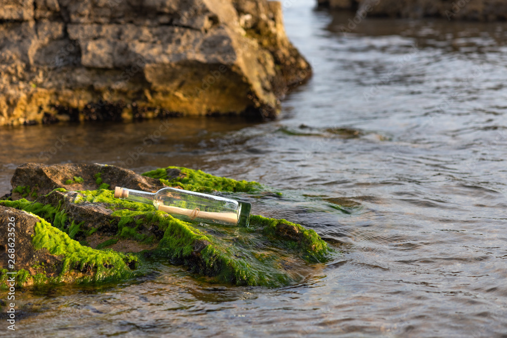 Message in a bottle on a stone covered with seaweed