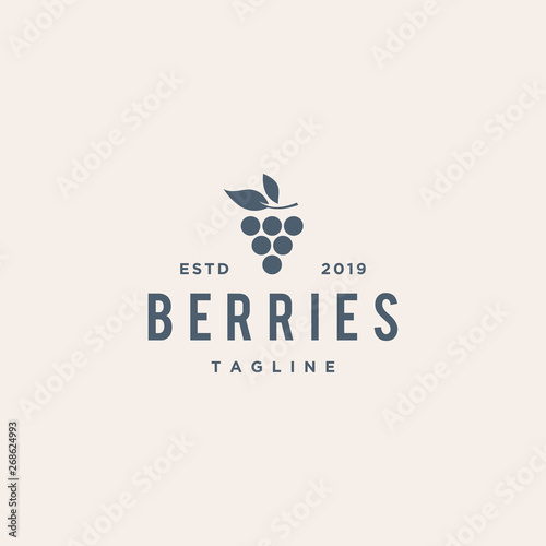 berries fruit vector logo design