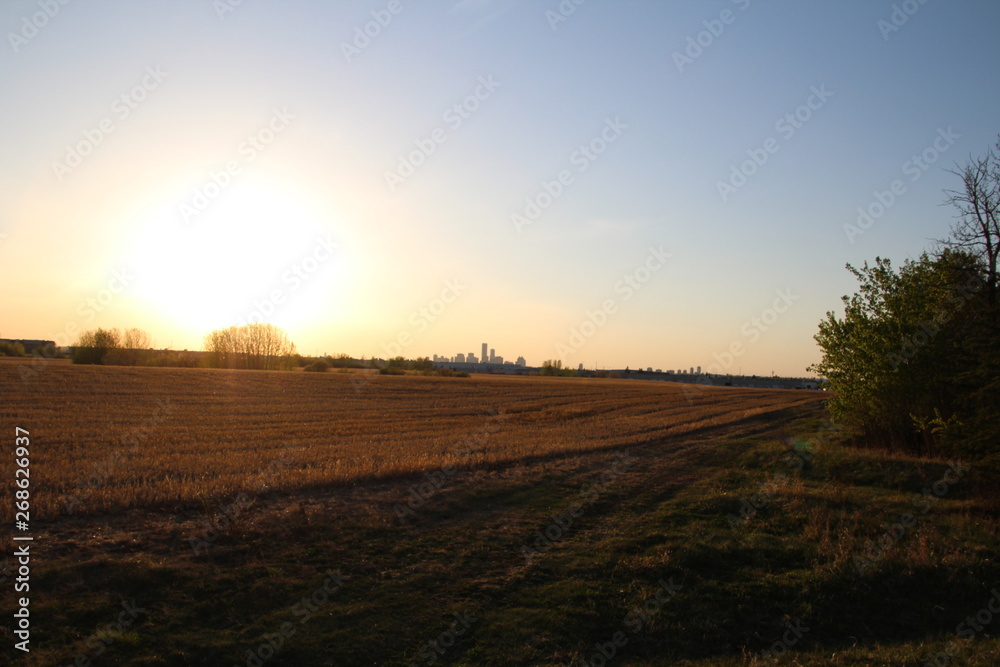 Sunset On The Farmers Field, Edmonton, Alberta