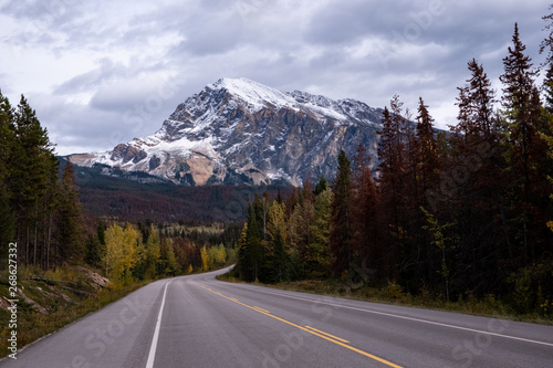 On the road through the Canadian Rockies