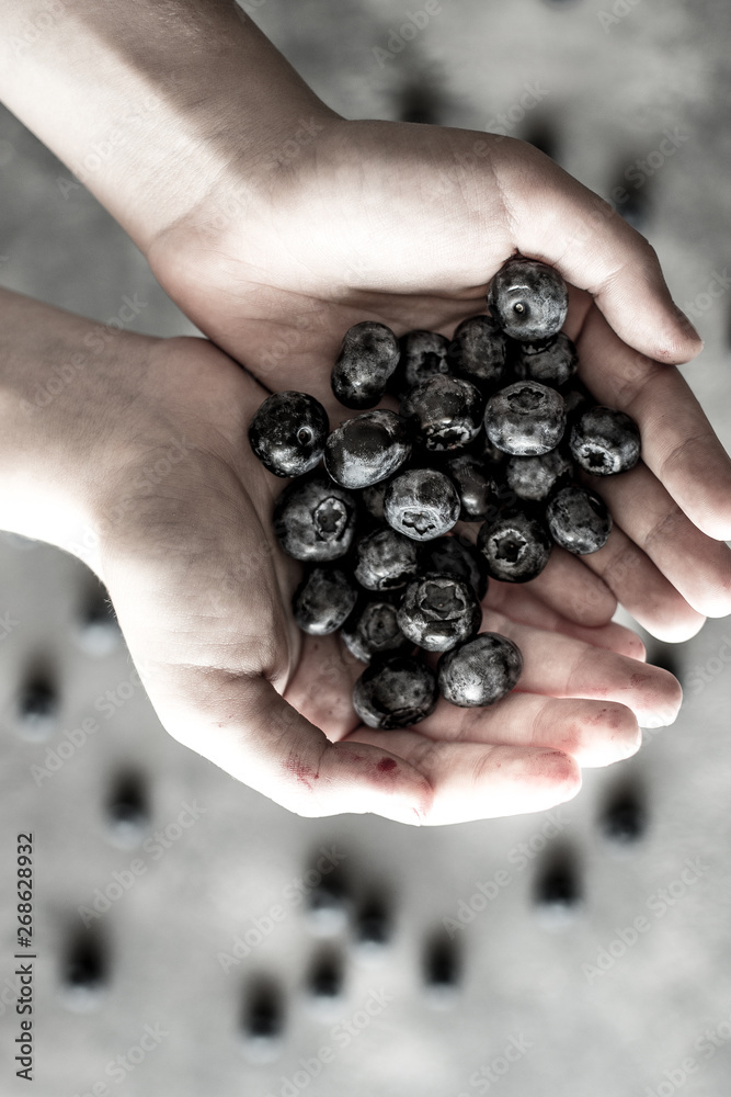 Organic Blueberries in Female Hands on Dark Background. Antioxidant Superfood Healthy Eating Concept. Organic Blueberries in Female Hands on Dark Background. Antioxidant Superfood Healthy Eating Concept.