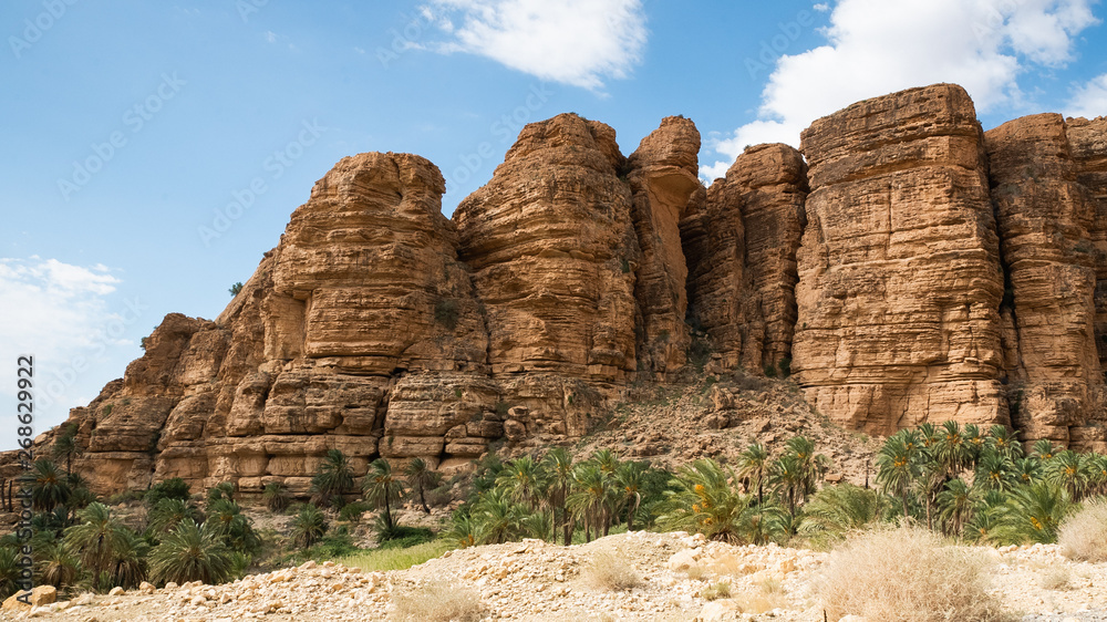 Date palm groves in oasis in desert valley in Algeria Date palm groves in oasis in desert valley in Algeria