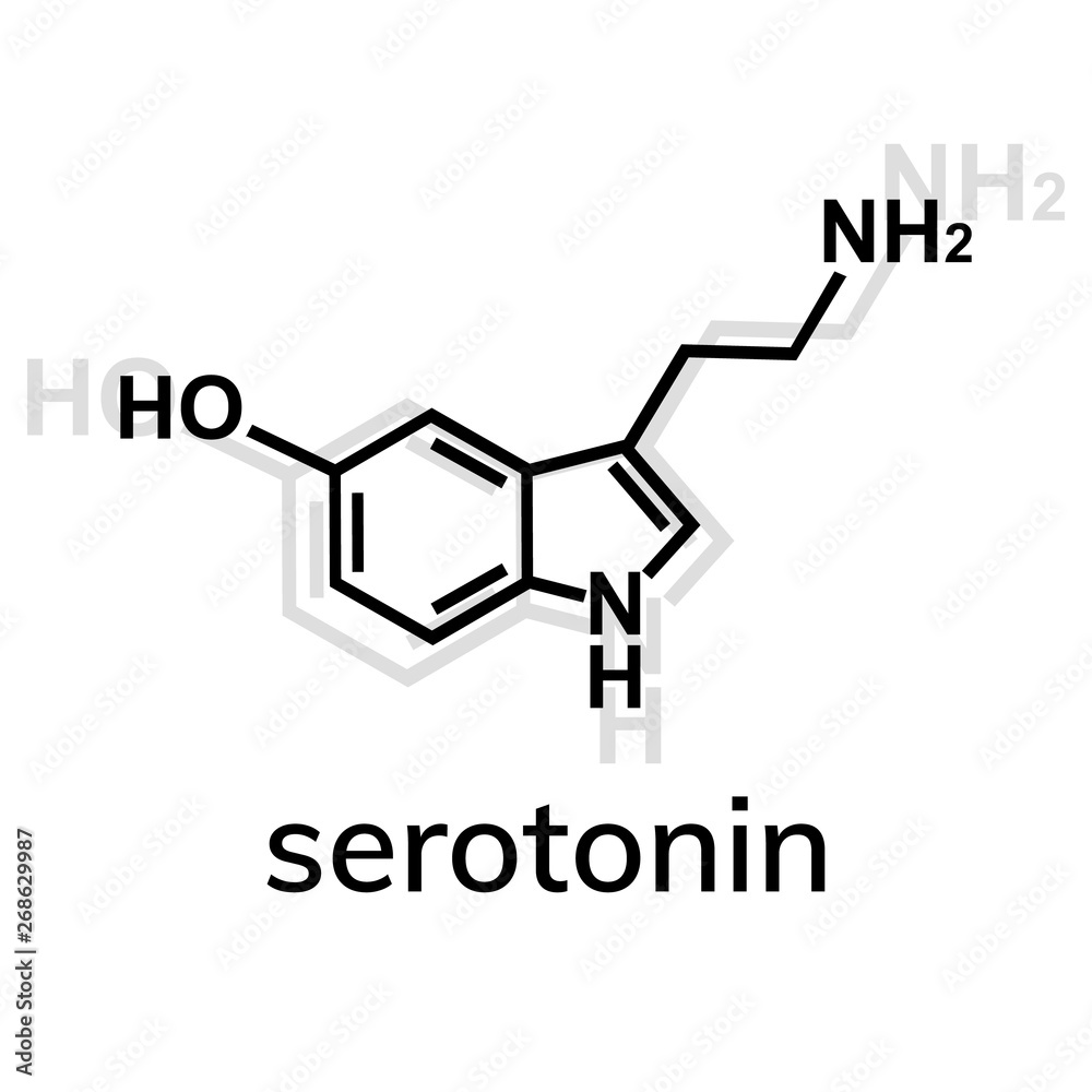 Serotonin vector icon with shadow on white background Serotonin vector icon with shadow on white background