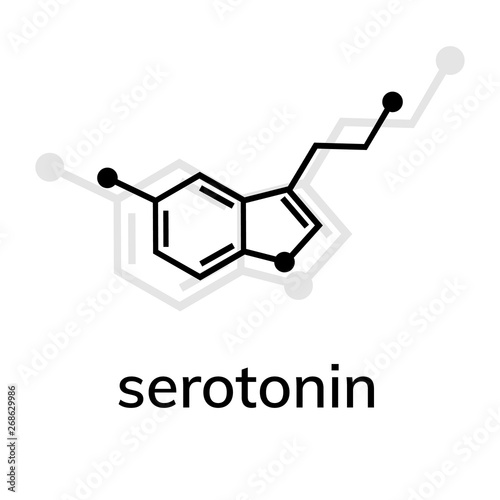 Serotonin vector icon with shadow on white background
