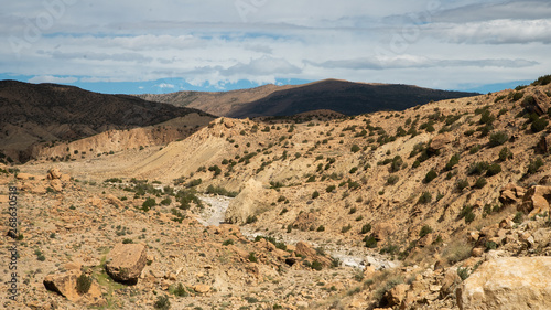 Desert canyon in Algeria