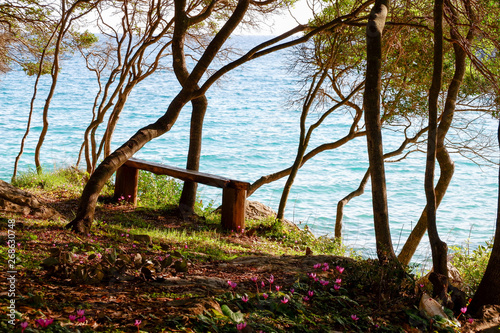 Fototapeta Naklejka Na Ścianę i Meble -  View from a beach with a bench during summer, located on a beautiful island of Rab on the Adriatic coast in the heart of Mediterranean sea. Surrounded by the crystal clear turquoise sea and blue sky.