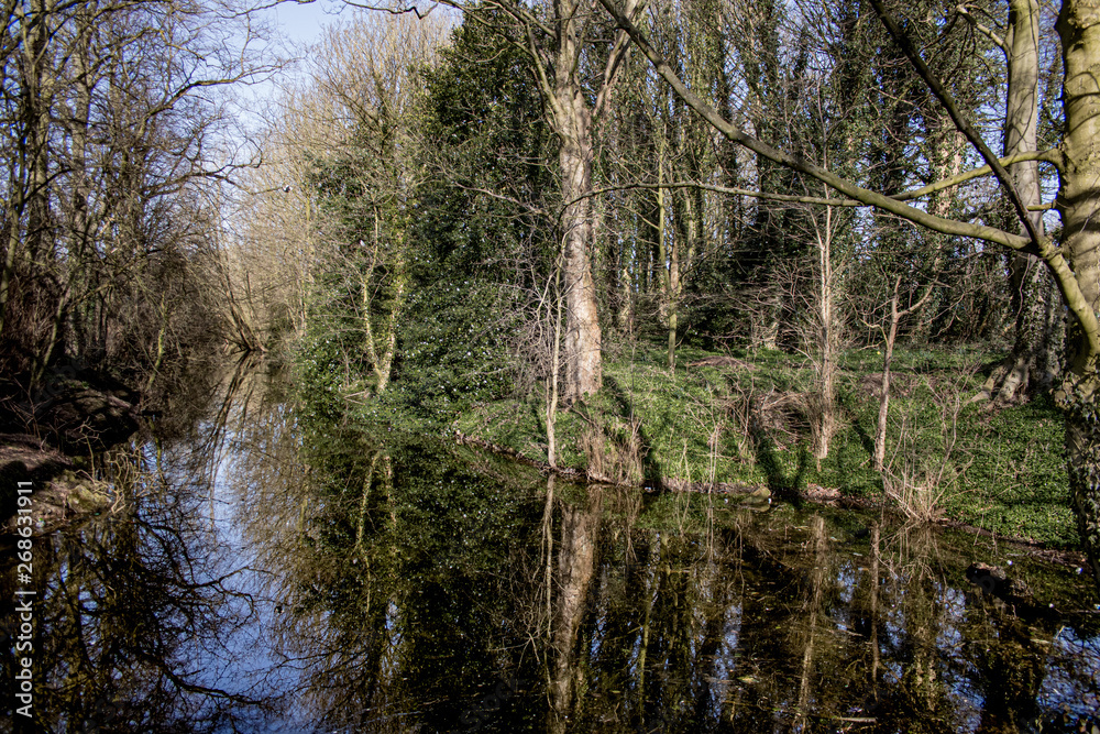 Fototapeta premium lake in the forest