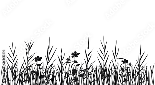 Silhouette flowers and grass, spring and summer forest and garden field flowers, black color isolated on white background Vector illustration of nature flowers and grass in the garden