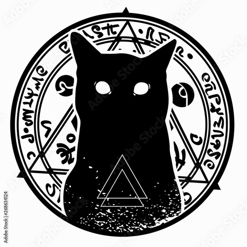 image of a cat enclosed in a circular magic frame