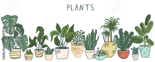 Set of different house plants