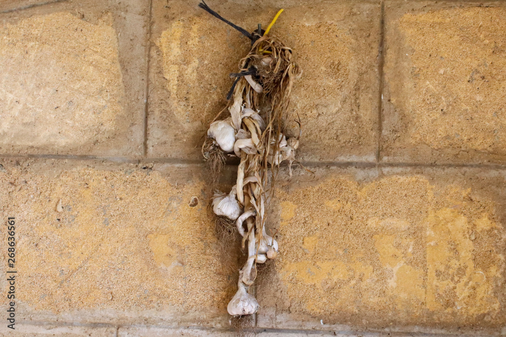 garlic drying against a block wall