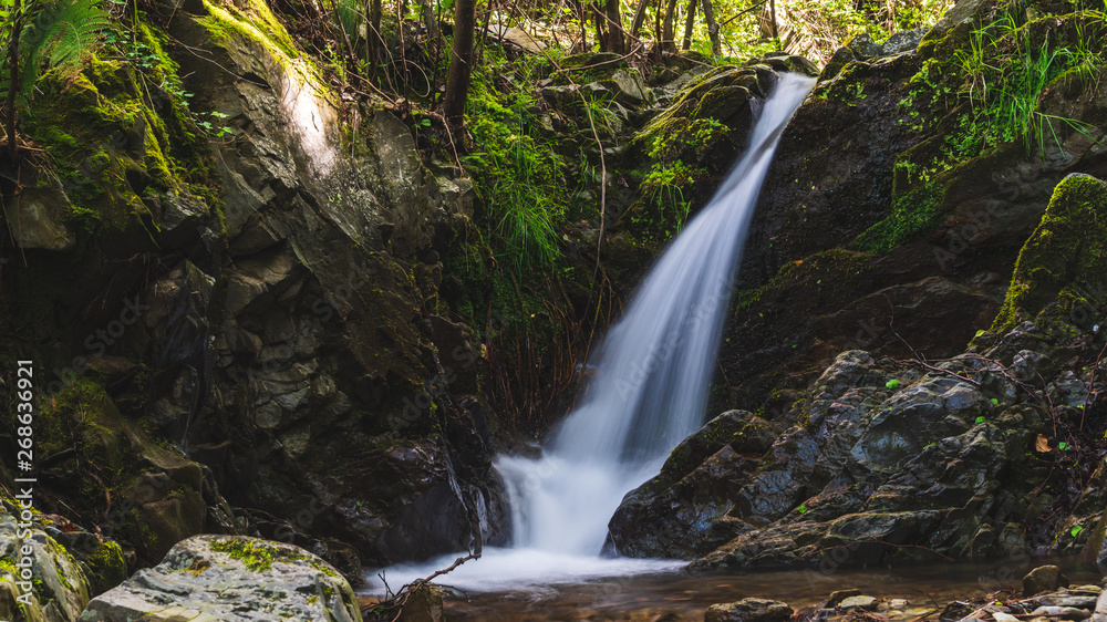 Long exposure of a scenic small waterfall flowing through rocks and vegetation in the forest of the Cinque Terre National Park, Italy. Long exposure of a scenic small waterfall flowing through rocks and vegetation in the forest of the Cinque Terre National Park, Italy.