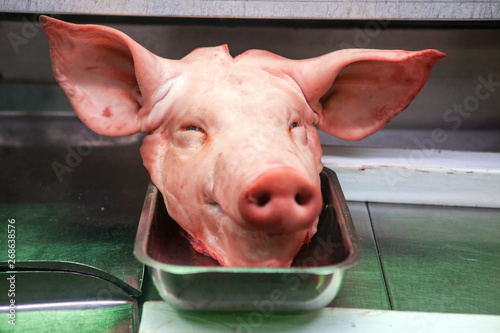 The head of a pig lies in a butcher shop photo