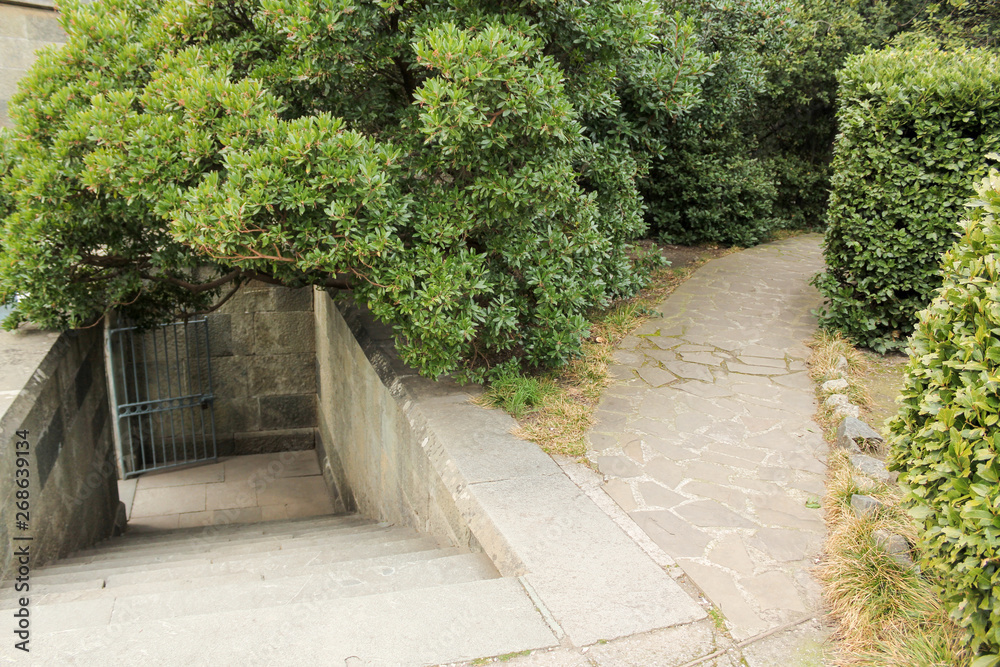 Staircase from the park.