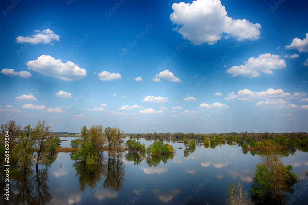 Blue sky with heap clouds reflecting in the flooded river overgrown by the lush inundated forest in May