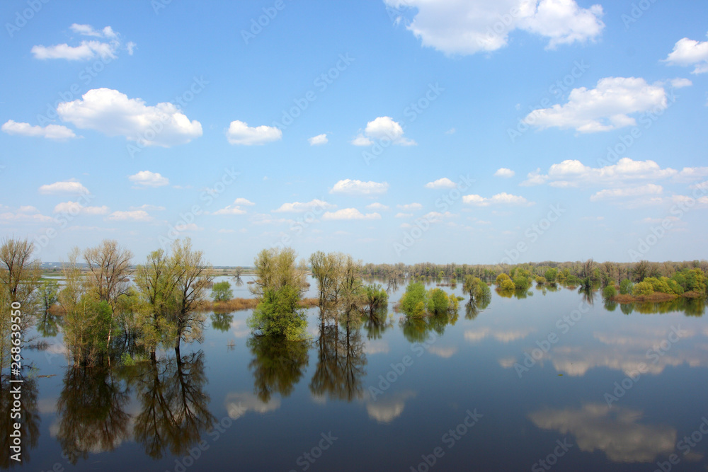 Blue sky with heap clouds reflecting in the flooded river overgrown by the lush inundated forest in May