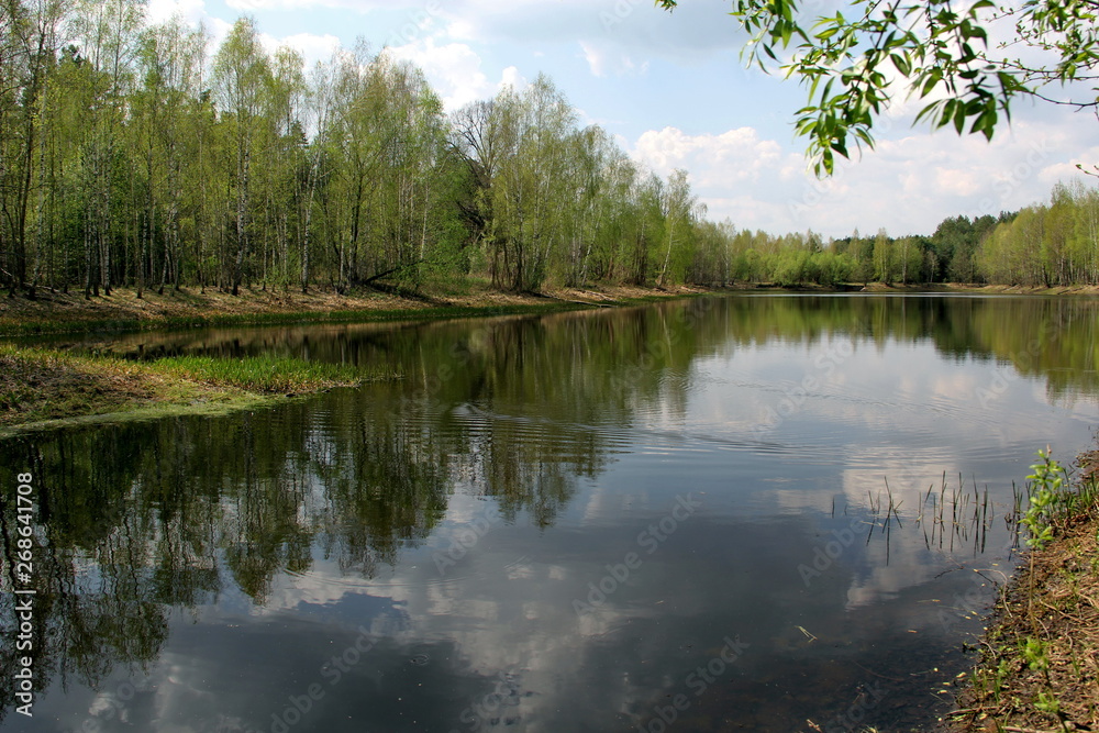 Lake in the forest in summer