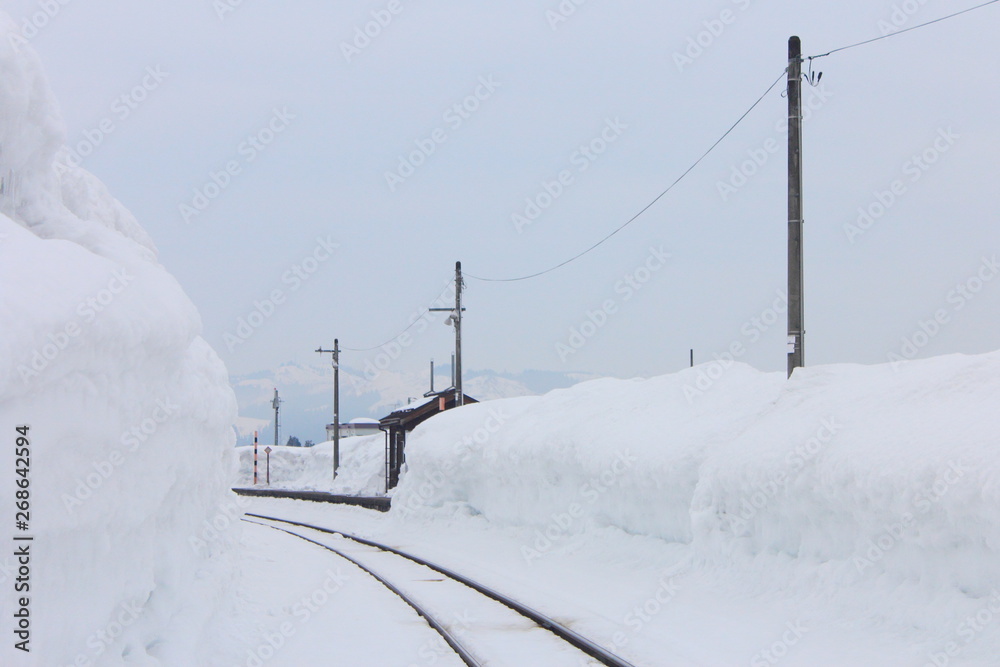 新潟県　雪