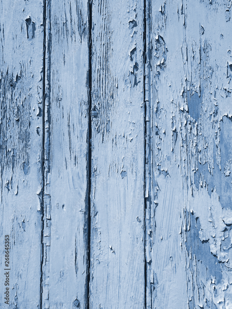 Fototapeta premium layered flaking bright blue old peeling paint on grainy rough timber plank surface