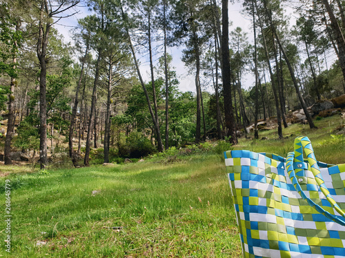 Bolsa de pic-nic o playa en la hierba con bosque de fondo