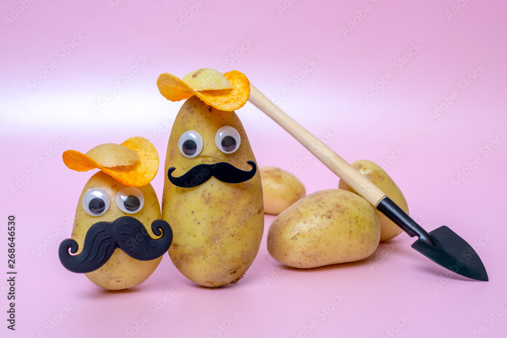 funny potato head with face on pink background