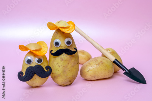 Obraz na płótnie funny potato head with face on pink background w salonie
