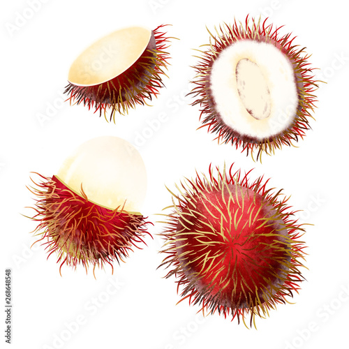Red Rambutan Fruit Single Watercolor and Digital paint Illustrator art with Clipping Path great to use for background or wallpaper