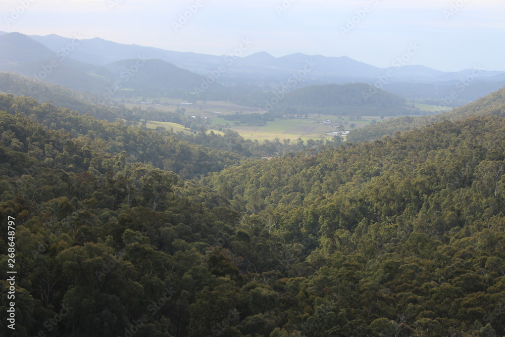 Naklejka premium valley