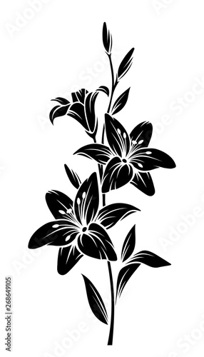 Vector black silhouette of lily flowers.