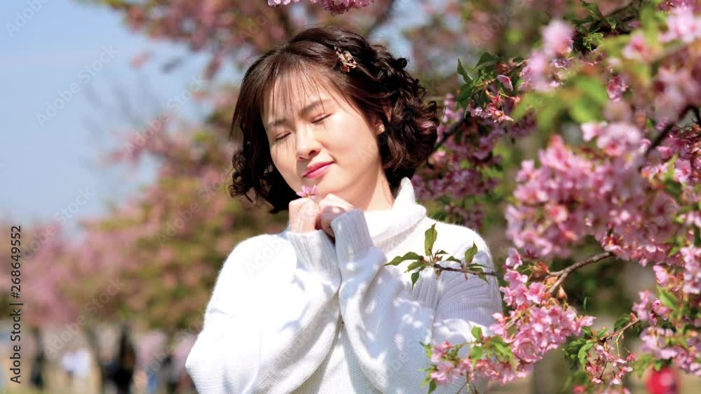 Beautiful Chinese young girl in white clothes posing with eyes closed in breeze, enjoy sunny spring day with pink cherry flowers forest background, 4k movie, slow motion. Beautiful Chinese young girl in white clothes posing with eyes closed in breeze, enjoy sunny spring day with pink cherry flowers forest background, 4k movie, slow motion.