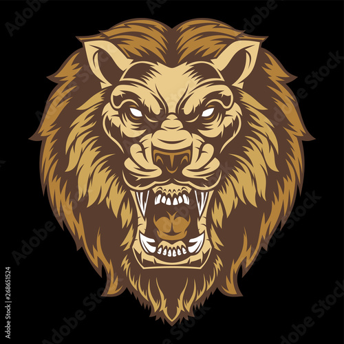 Angry lion head.