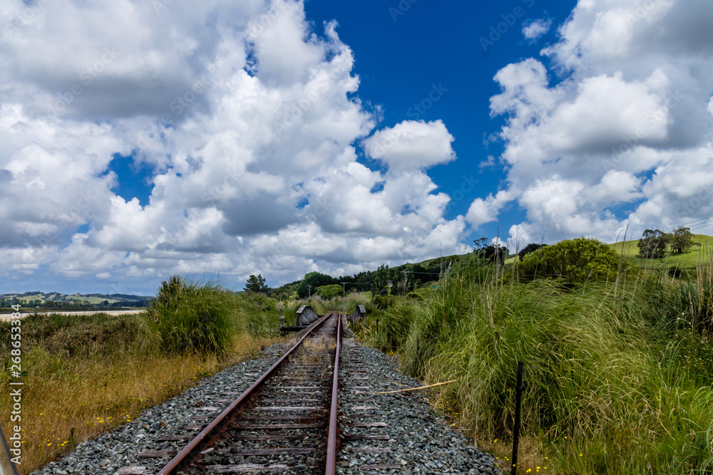 Train travel in the community is a special way toi see Dagarville, New Zealand
