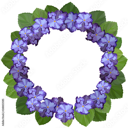 African violet, saintpaulia, on white background. Wreath frame with copy space