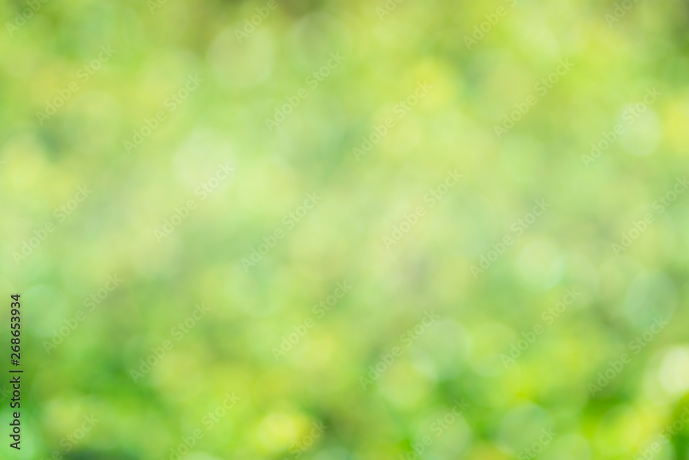 Greenery abstract background. Blurred and defocus effect for spring concept design . Greenery abstract background. Blurred and defocus effect for spring concept design .