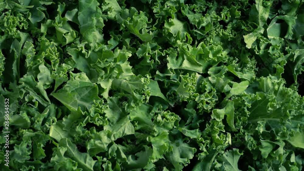 Pile Of Kale Vegetable Rotating Pile Of Kale Vegetable Rotating