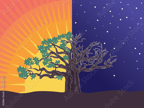 Night and sunset big tree © AnnaPa