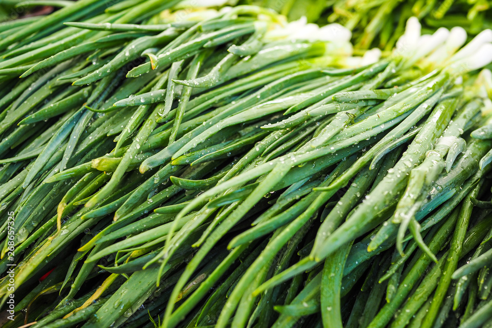 Fresh spring onions on the market Fresh spring onions on the market