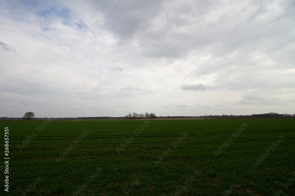 blick auf eine grasfläche unter bewölktem himmel in rhede emsland deutschland fotografiert während eines spaziergangs in der natur blick auf eine grasfläche unter bewölktem himmel in rhede emsland deutschland fotografiert während eines spaziergangs in der natur