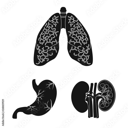 Isolated object of body and human symbol. Collection of body and medical vector icon for stock.